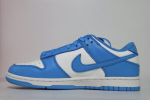Dunk Low Coast 2 1