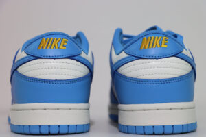 Dunk Low Coast 6 1