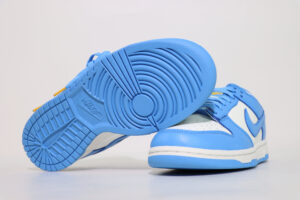 Dunk Low Coast 9 1